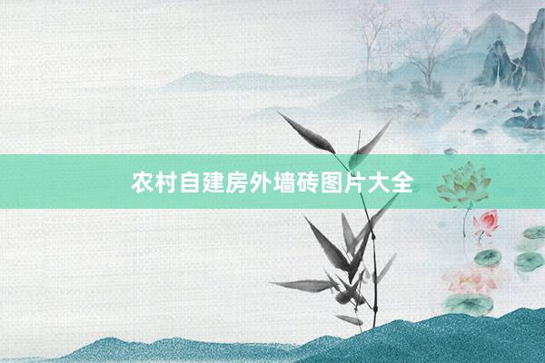 农村自建房外墙砖图片大全
